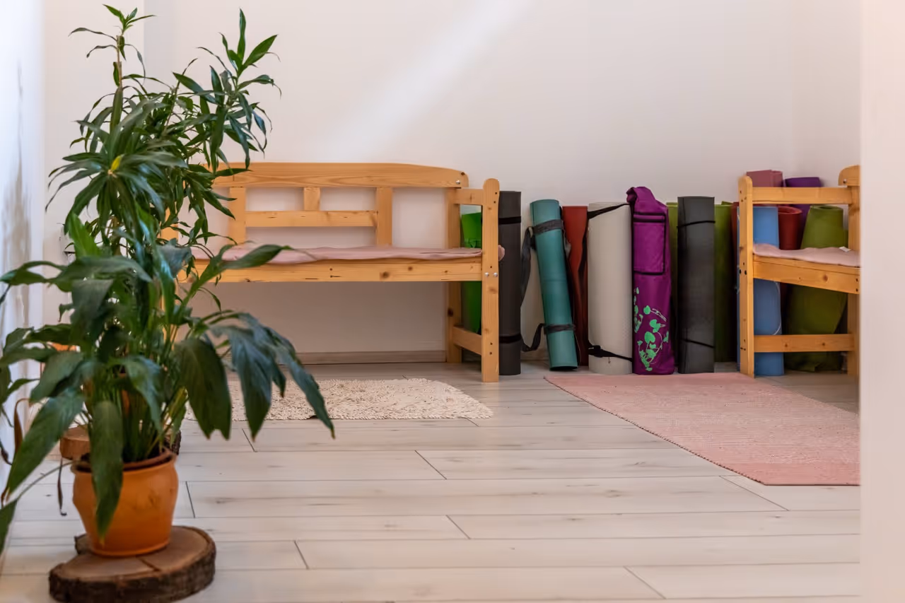 Növény egy cserépben a padlón, mögötte két fa pad és több színes jógaszőnyeg a fal mellett.